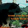 Be my teddy bear